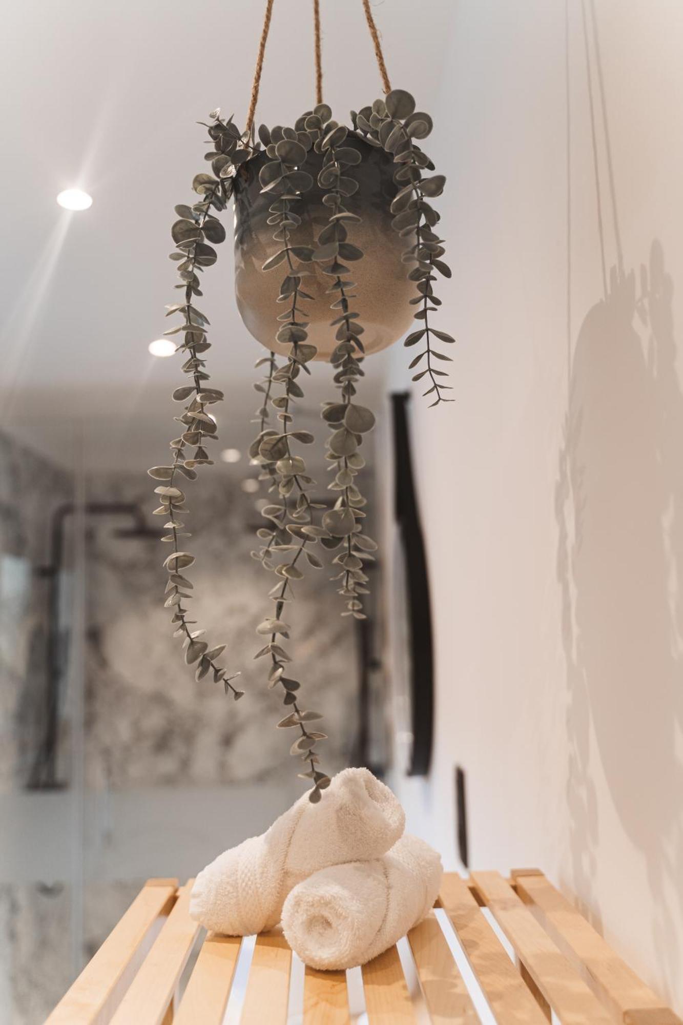 & Apartment